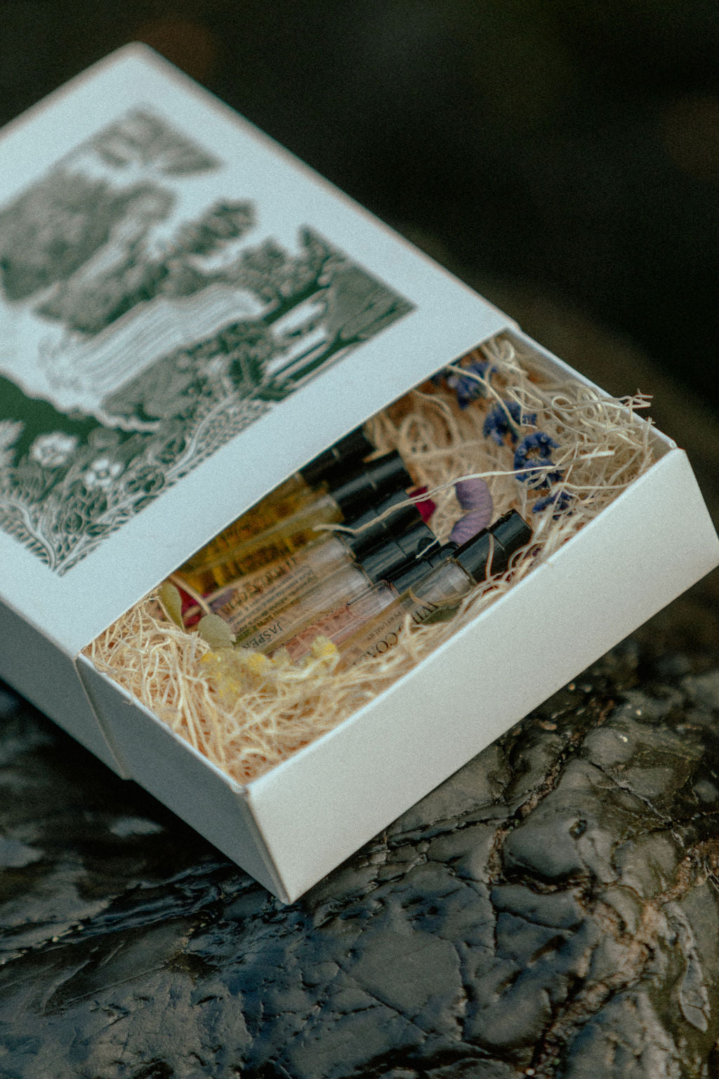 Discovery Set – Wild Coast Perfumery
