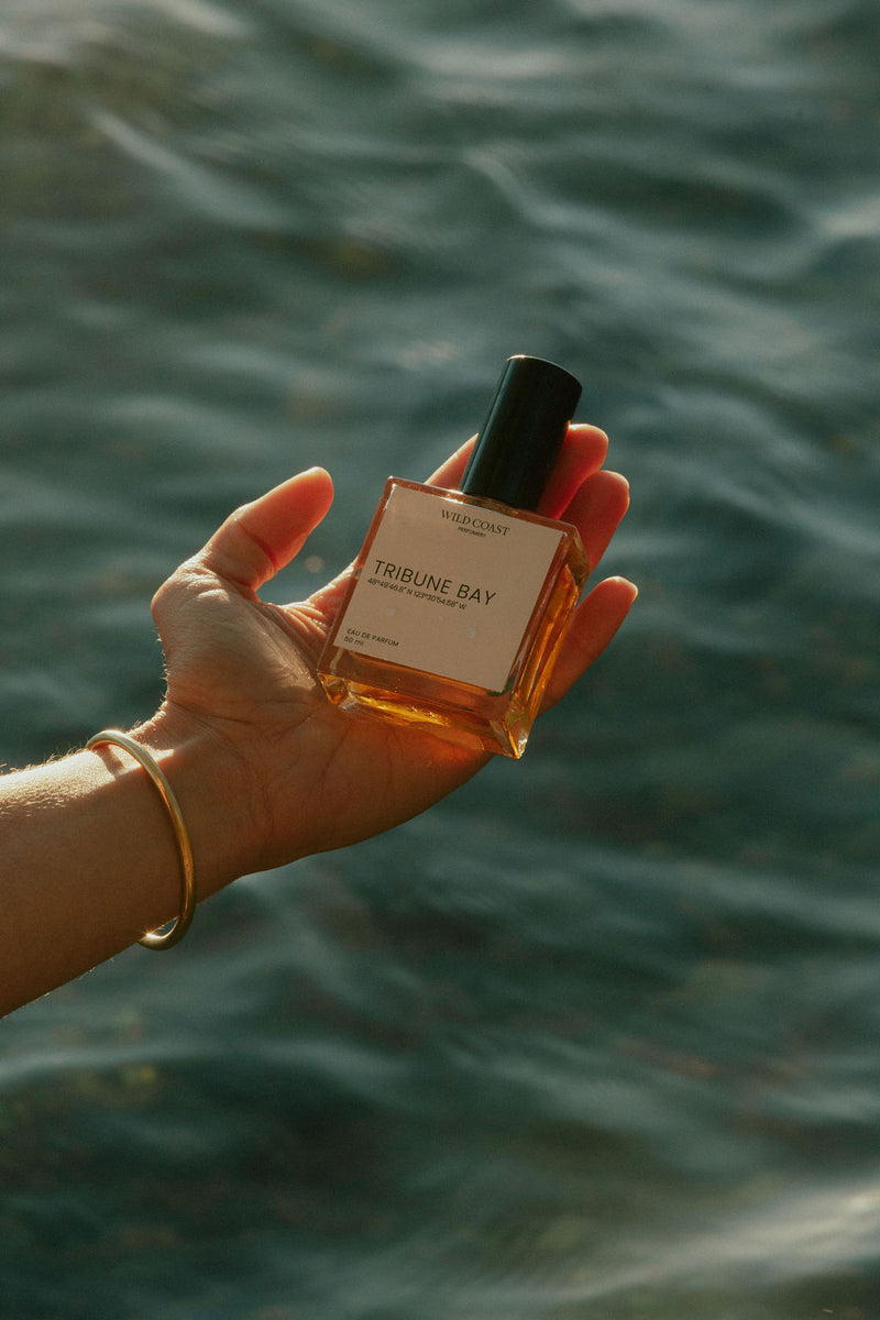 The clearance bay perfumes