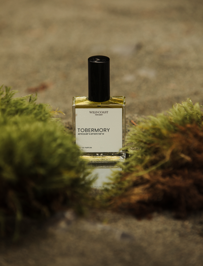 Natural Perfume Vancouver Island Perfumery Perfume bottle sitting between two moss stones
