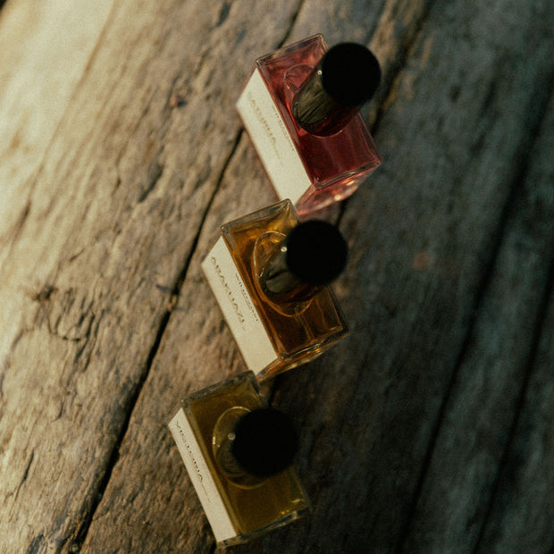 Wild Coast Perfumery Gift Card